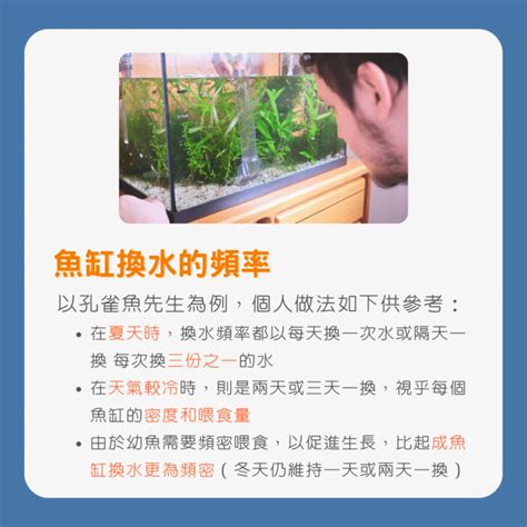 魚缸換水|魚缸換水指南：每週必學秘訣，打造健康魚缸 